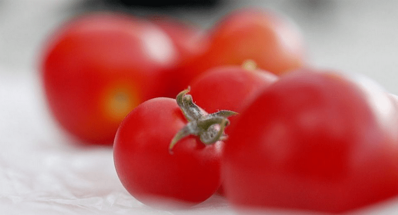 Gene-Edited Tomatoes May Soon Be Sold In The UK.