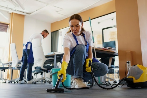 The Top 10 House Cleaning Services, Sebastopol